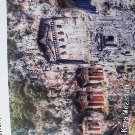 Arcadıa